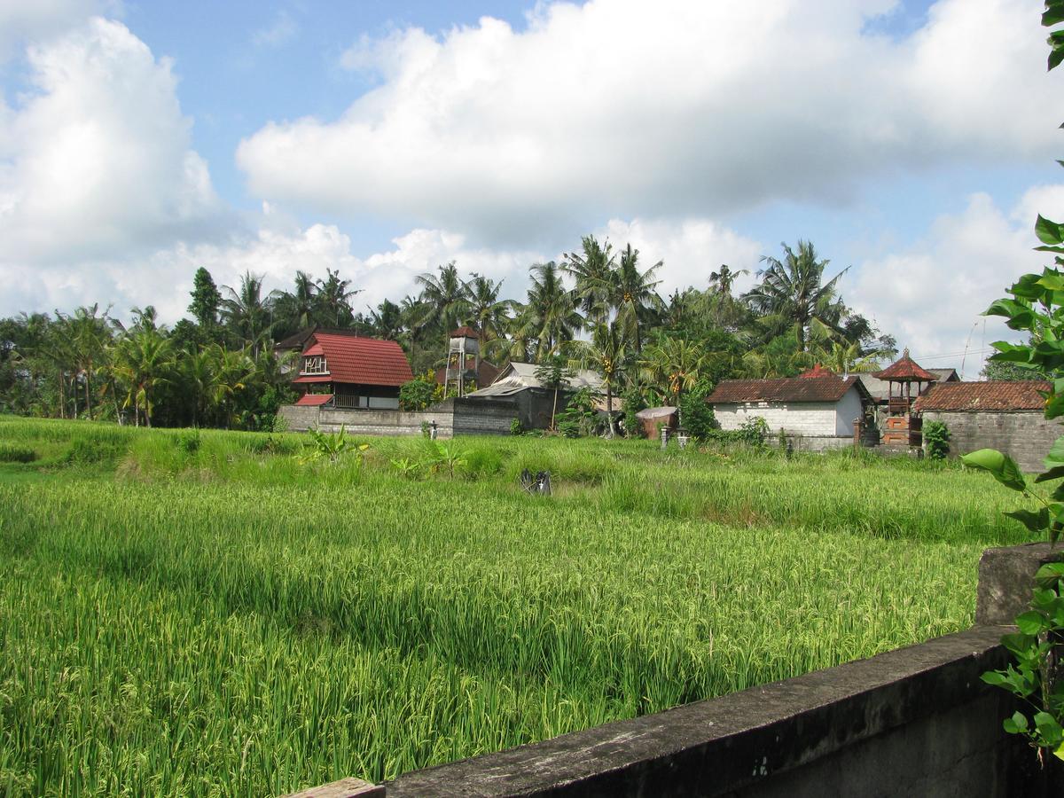 Pondok Mesari House Убуд Экстерьер фото